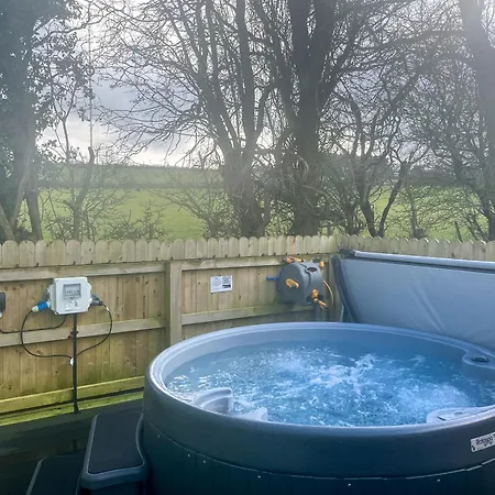 Bluebell - Uk51382 Wigton