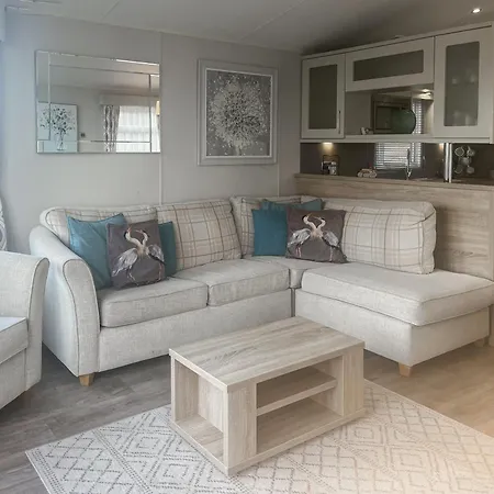 Bluebell - Uk51382 *